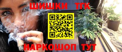 apvp Нальчик